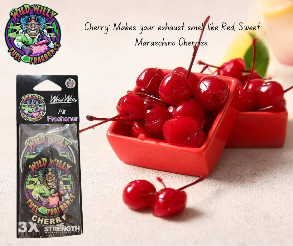 Wild Willy Air Fresheners – Variety of Scents