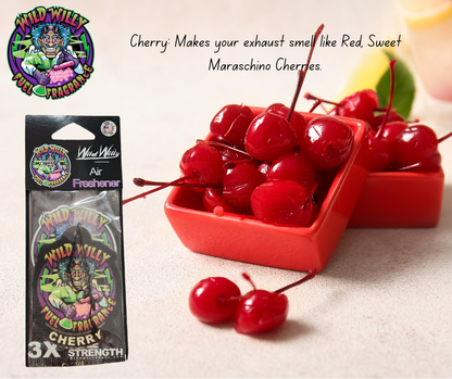 Wild Willy Air Fresheners – Variety of Scents