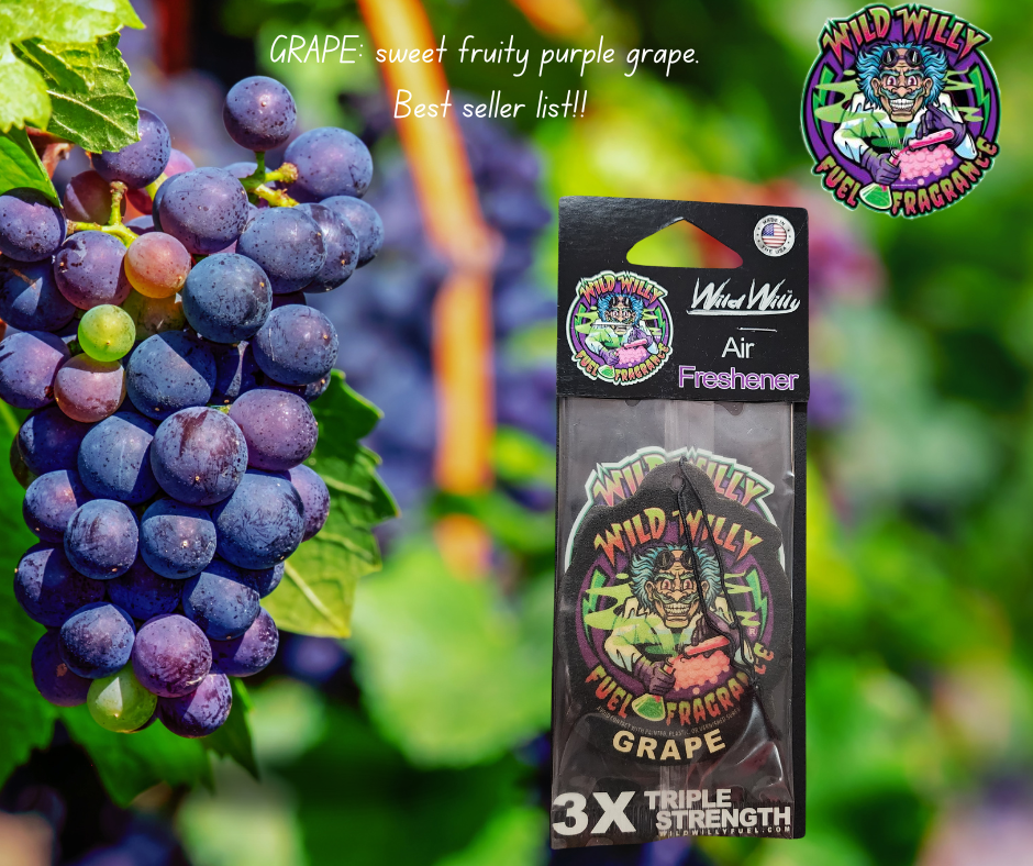 Wild Willy Air Fresheners – Variety of Scents