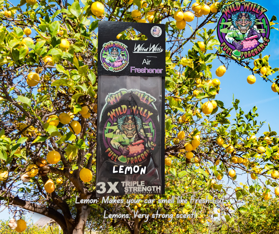 Wild Willy Air Fresheners – Variety of Scents
