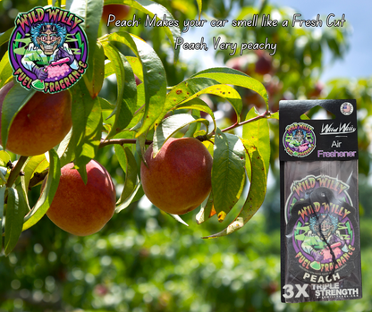 Wild Willy Air Fresheners – Variety of Scents