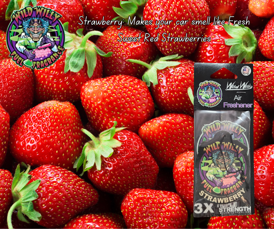 Wild Willy Air Fresheners – Variety of Scents